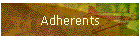 Adherents